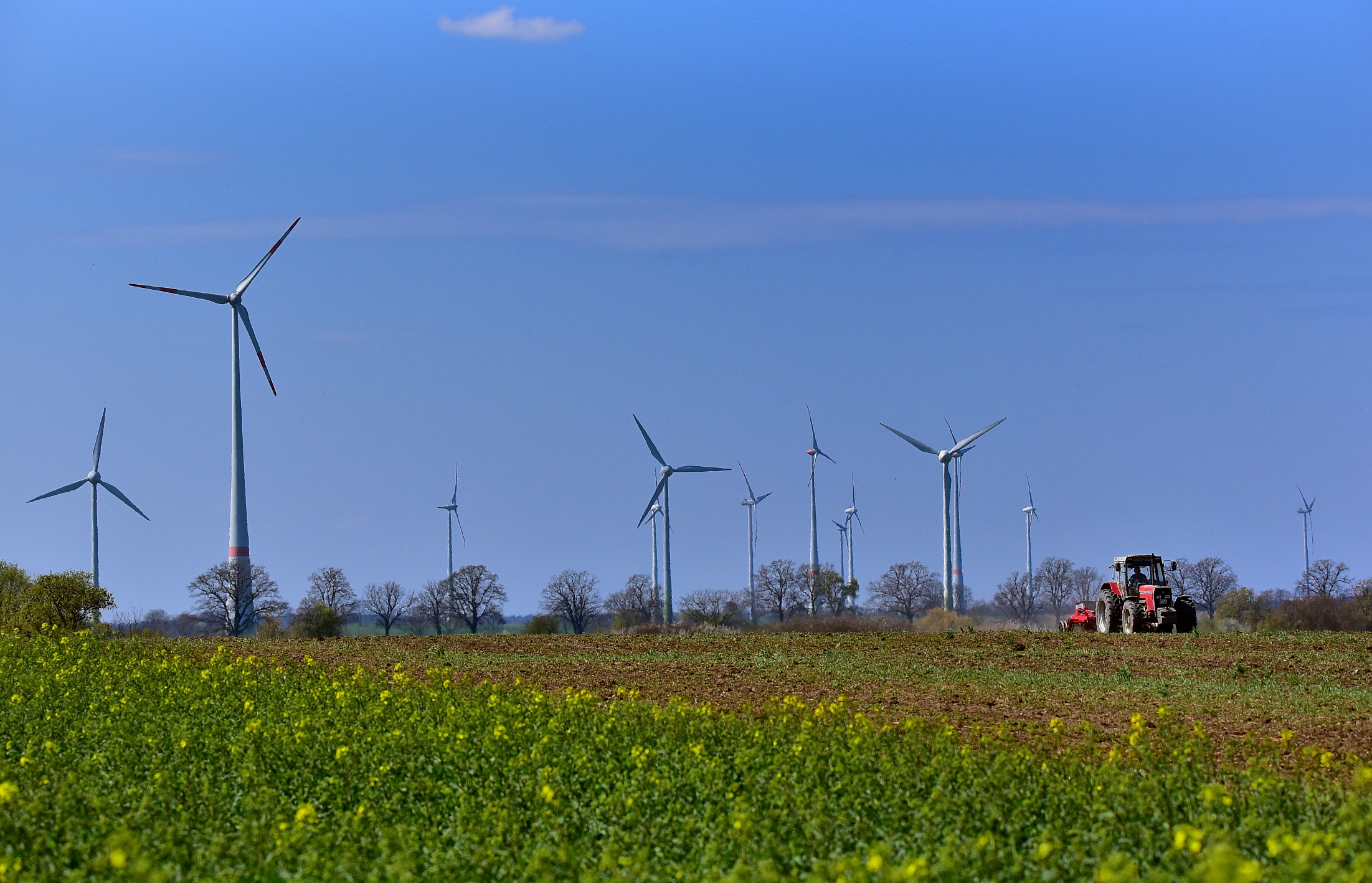 Windräder bei Carzig (Fichtenhöhe) MOL und Feldbestellung